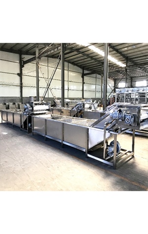 果蔬清洗流水線(xiàn)